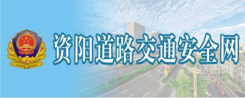 www,屄1366636jC0㎝资阳道路交通安全网