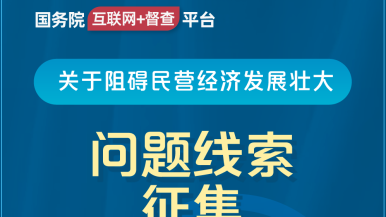 操骚bb视频国务院“互联网+督查”平台公开征集阻碍民营经济发展壮大问题线索